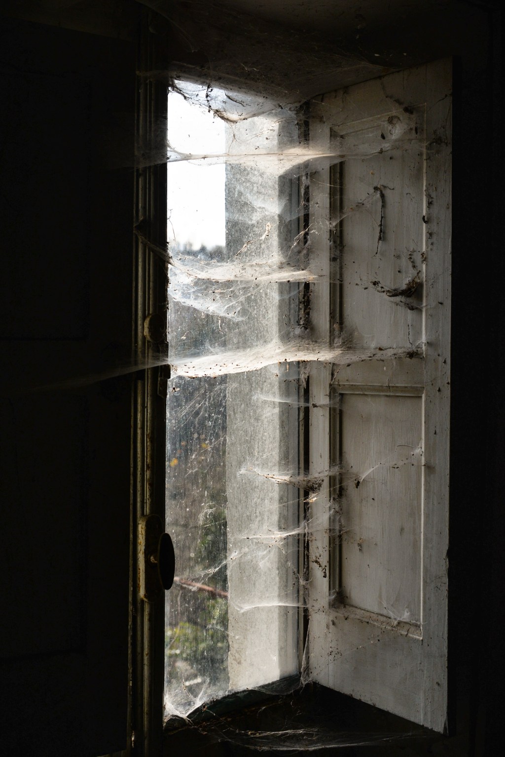 Presenza/Assenza.                             Percorso visuale / X&nbsp;ed.